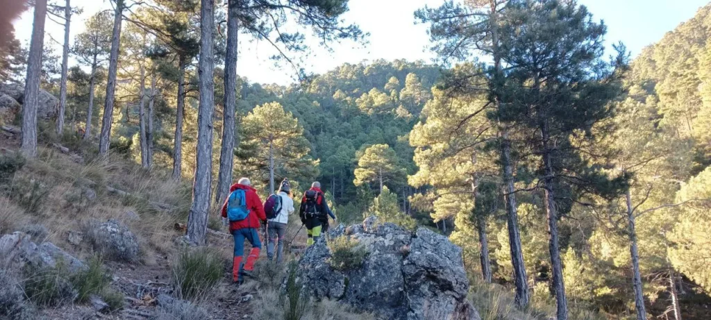 2024 12 21 – Batán del Puerto – Atalaya