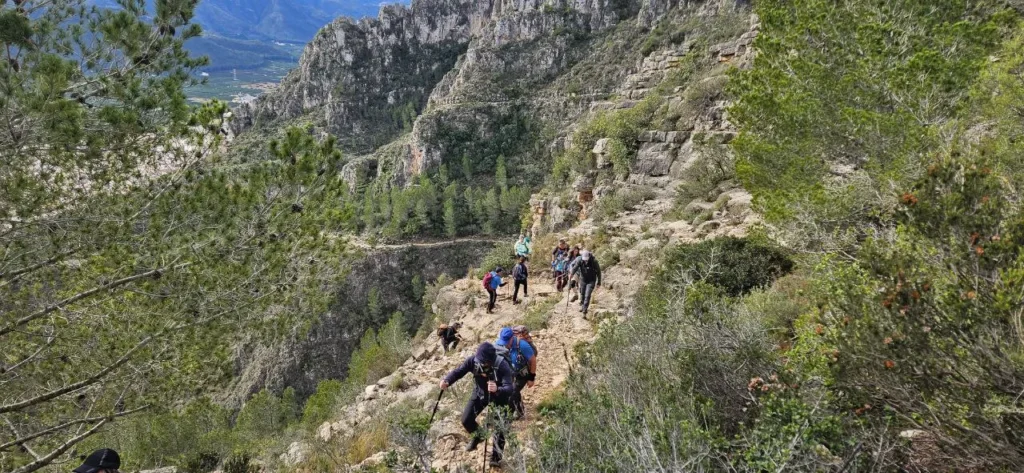 2025 01 11 – Tavernes de la Valldigna – Les Creus, Serra de Corbera y senda dels Amoladors