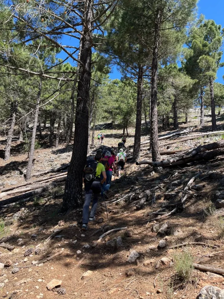 2024 05 25 – De Villaverde a Bienservida