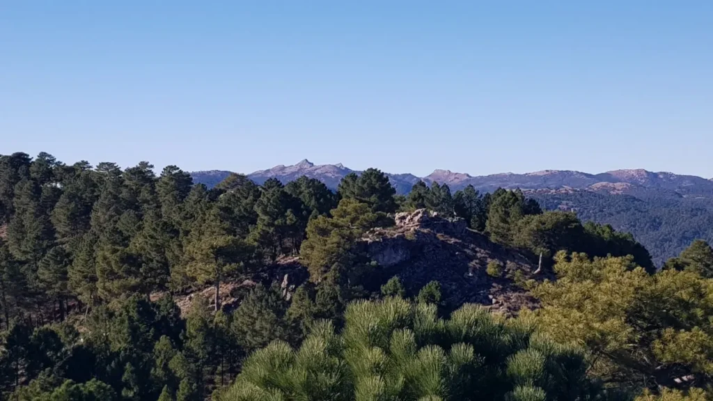 2024 12 21 – Batán del Puerto – Atalaya