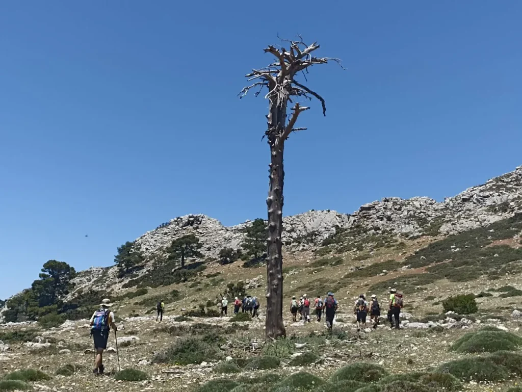 2024 05 25 – De Villaverde a Bienservida
